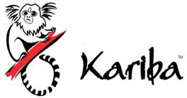 kariba overlanding latam